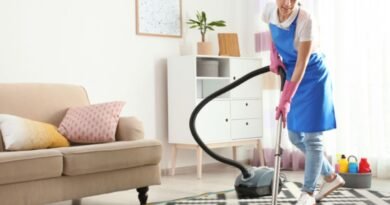 Declínio Inédito: Por Que 1 em Cada 5 Domésticas Perdeu Carteira Assinada?