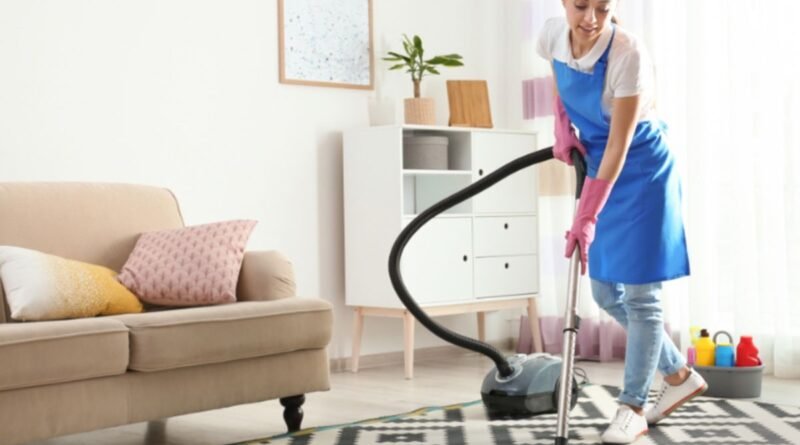 Declínio Inédito: Por Que 1 em Cada 5 Domésticas Perdeu Carteira Assinada?